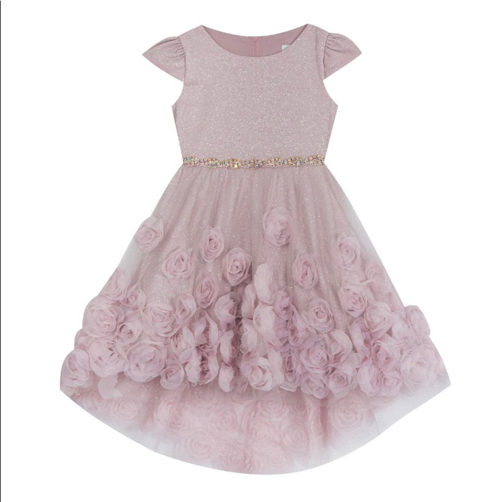 Rare Editions Little Girl Dress